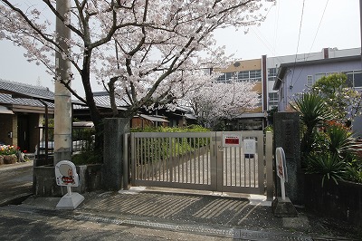 岩出小学校写真